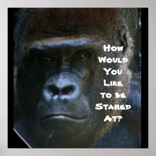 GORILLA POSTER INTE PÅ MIG