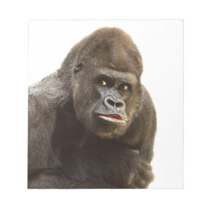 Gorilla Pout Anteckningsblock