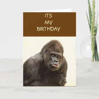 Gorilla Pout Kort