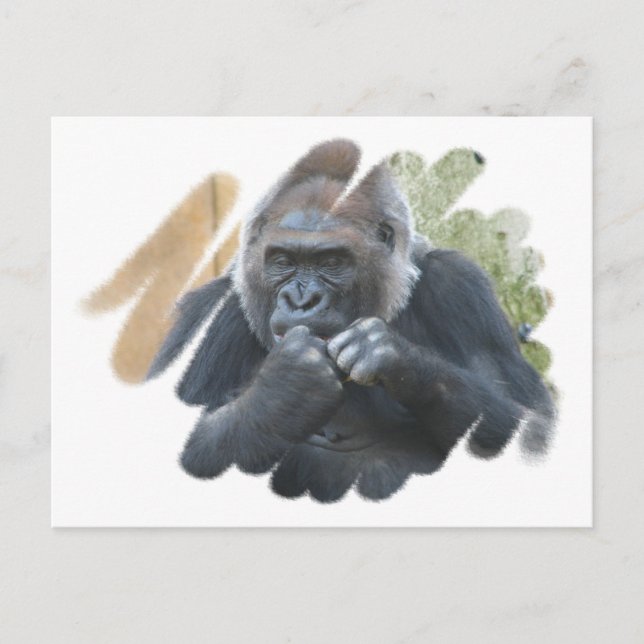 Gorilla Primate vycard Vykort (Framsida)
