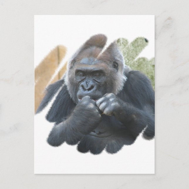 Gorilla Primate vycard Vykort (Framsida)