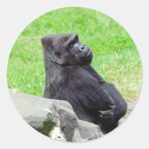 Gorilla Relaxing Sticker Runt Klistermärke