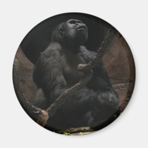 Gorilla/Round magnet