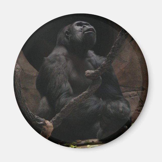 Gorilla /Round Magnet (Framsidan)