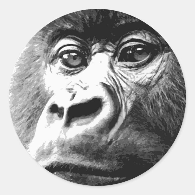 Gorilla Runt Klistermärke (Framsida)