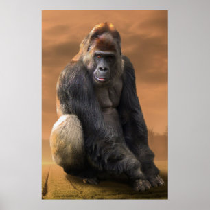 Gorilla, silver tillbaka i skymningen poster