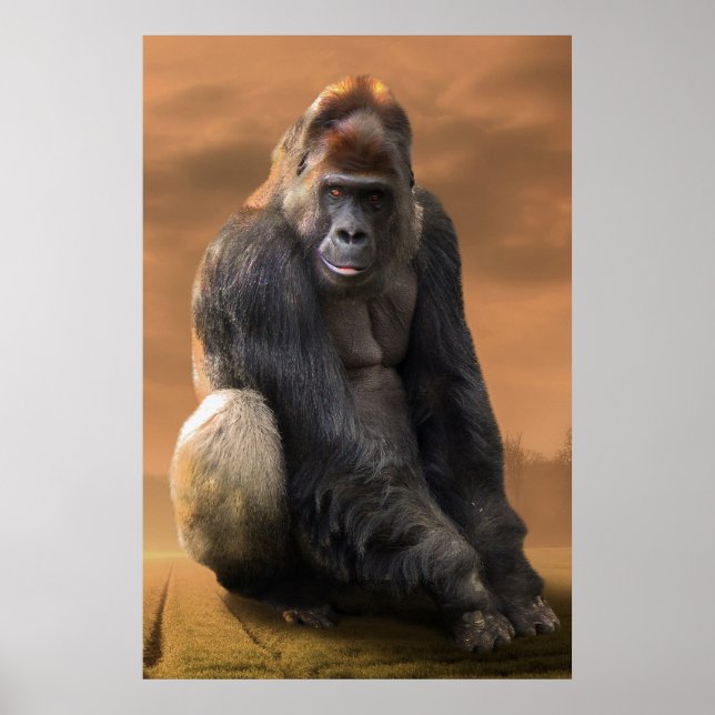 Gorilla, silver tillbaka i skymningen poster (Framsidan)
