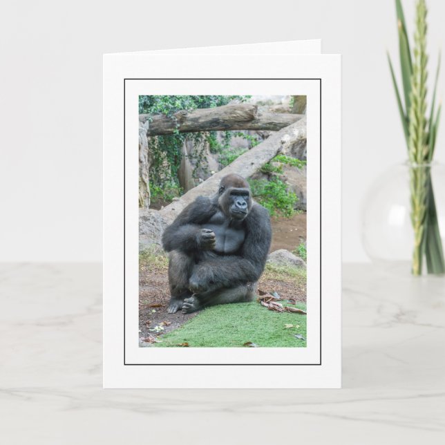 Gorilla sitta-hälsningskort kort (Framsida)