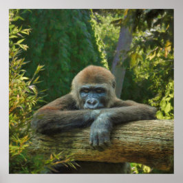 GORILLA "SPARA OUR SPECIES" POSTER