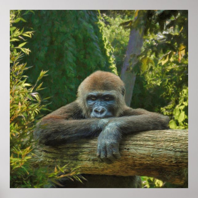 GORILLA "SPARA OUR SPECIES" POSTER (Framsidan)