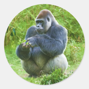 Gorilla Sticker Runt Klistermärke