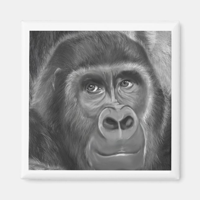 Gorilla sucking fingers Magnet2指しゃぶりのゴリラマグネット Magnet (Framsidan)