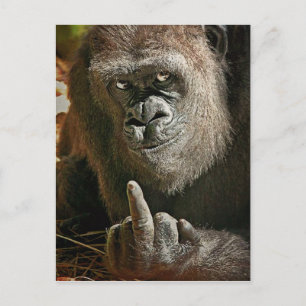 Gorilla Tall Man Vykort