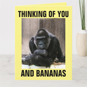 GORILLA TÄNKTE PÅ DIG GREETCDS KORT