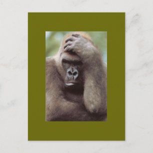 GORILLA THINKING VYKORT