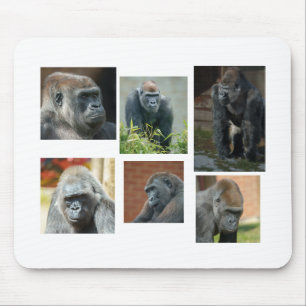 Gorilla-troopen Musmatta