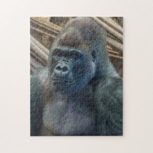 Gorilla upp nära pussel