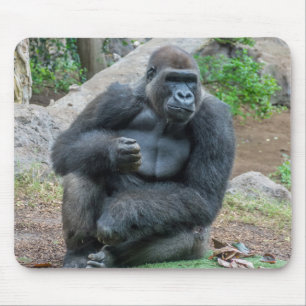 Gorilla vid djurparksmunstycket musmatta