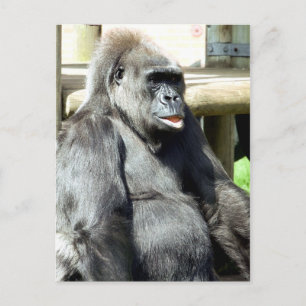 GORILLA VYKORT
