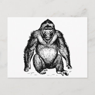 Gorilla Vykort