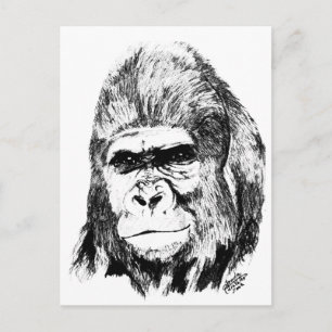 Gorilla Vykort