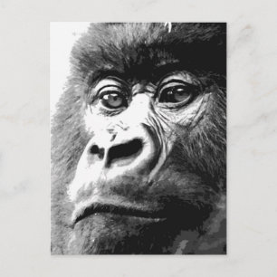 Gorilla Vykort