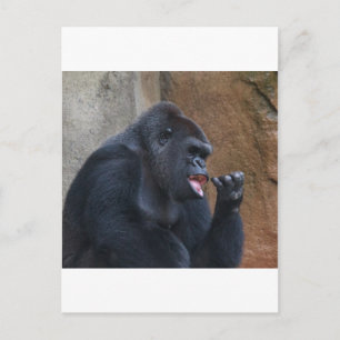 Gorilla Vykort