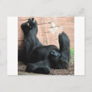 GORILLA VYKORT