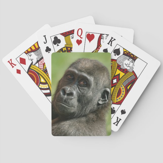 Gorilla Youngster Casinokort (Baksidan)