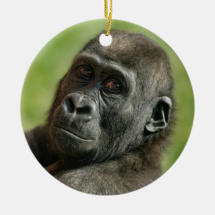 Gorilla Youngster Julgransprydnad Keramik