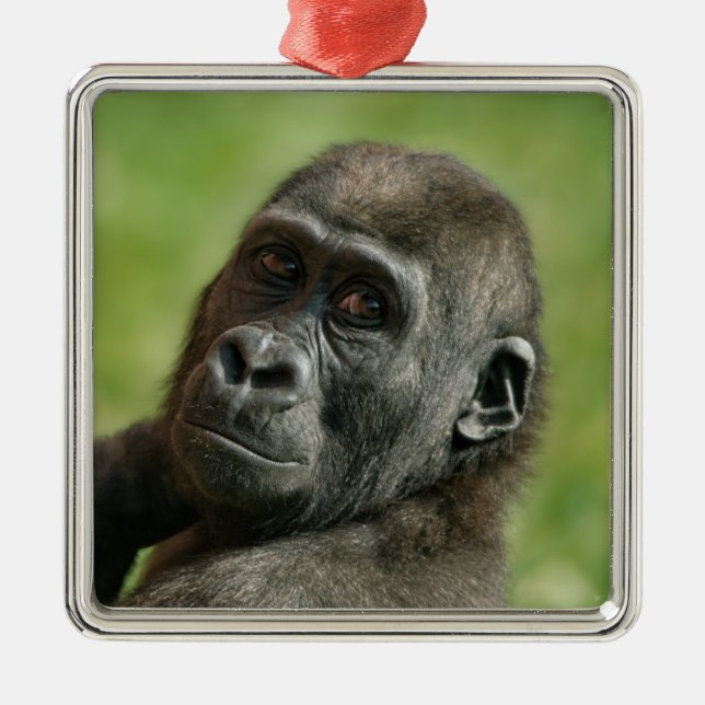 Gorilla Youngster Julgransprydnad Metall (Framsidan)
