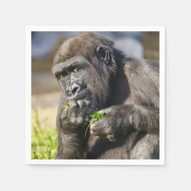 Gorilla Youngster Pappersservett (Framsidan)