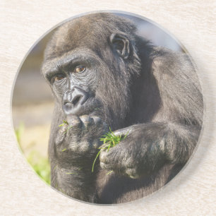 Gorilla Youngster Square Papper Underlägg