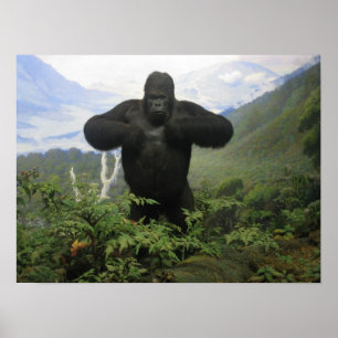 Gorillaaffisch Poster