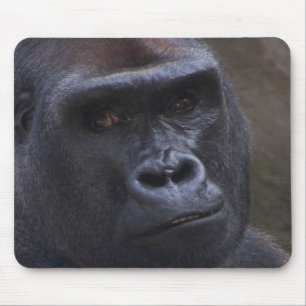 Gorillaansikte Musmatta