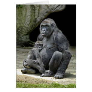 Gorillababy & mamma hälsningskort