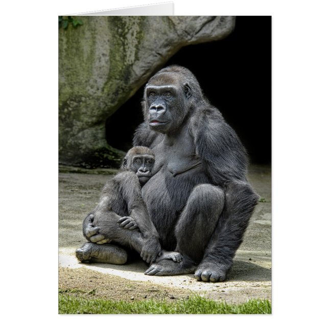 Gorillababy & mamma hälsningskort (Framsidan)