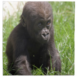 Gorillababy Tygservett