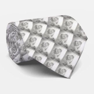 GorillafamiljBW skissar verkställer Slips