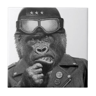 Gorillagrabb Kakelplatta
