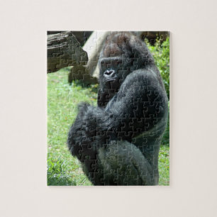 Gorillailsken blickpussel pussel