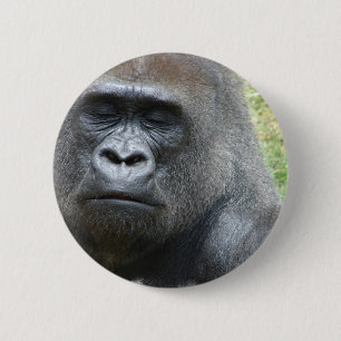Gorillalooken knäppas knapp