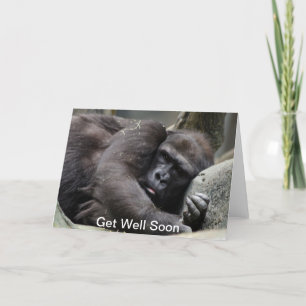 Gorillan får väl snart kort