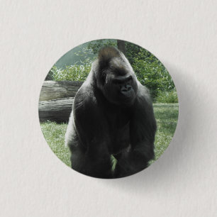 Gorillan knäppas knapp