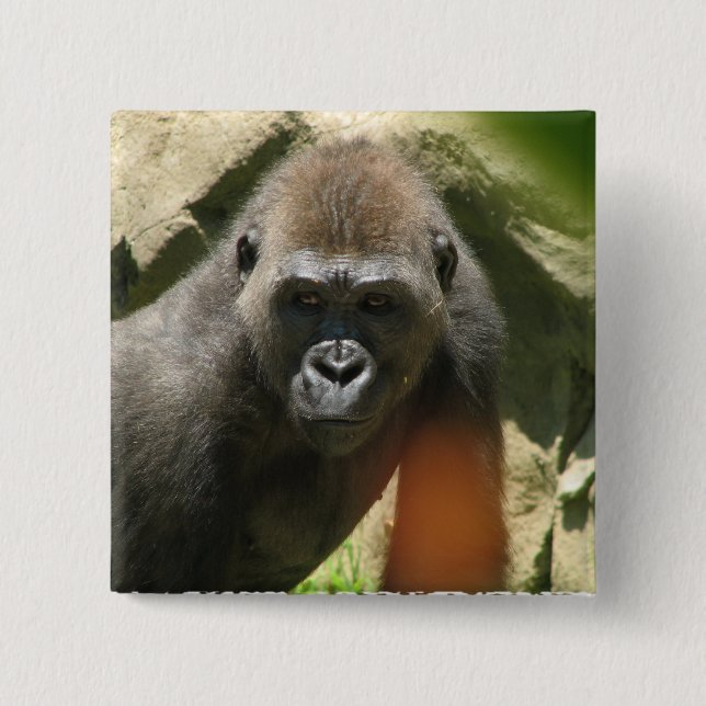 Gorillan kvadrerar knäppas knapp (Framsida)
