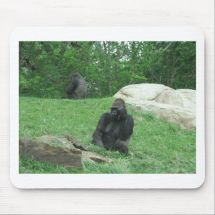 Gorillapic Musmatta