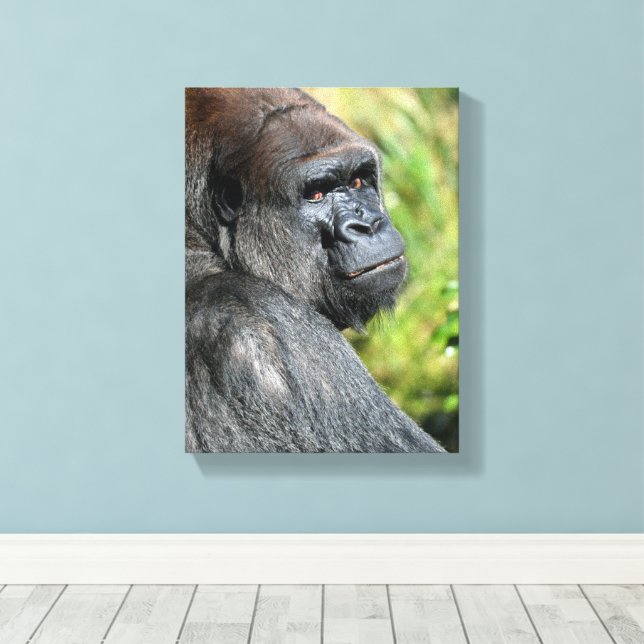Gorillaprofil Canvastryck (Insitu (trägolv))