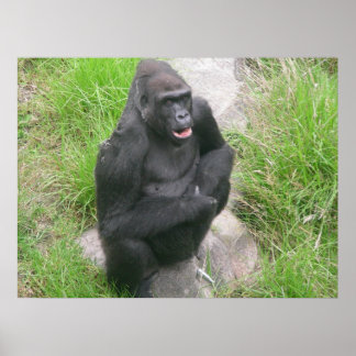 Gorillas 007 canvas poster