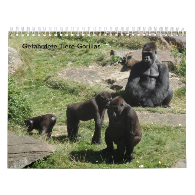 Gorillas als Kalender (Omslag)