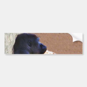 Gorillas_ Bildekal